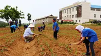 Anak-anak Indonesia Diajari Bercocok Tanam di Korea Utara