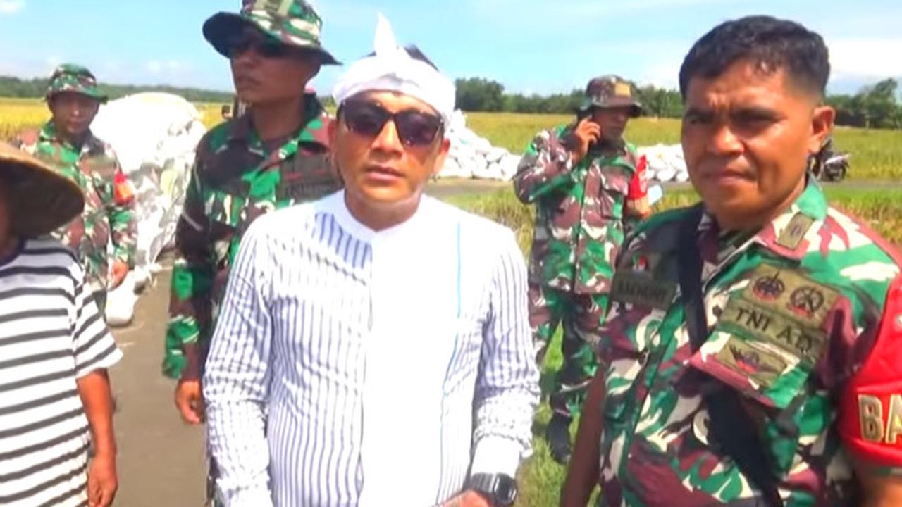 Hoho Alkaf Kades Bertato Terjun Langgung Turun Ke Sawah Tinjau Panen Padi Bareng Anggota TNI 'Program Presiden Cocok