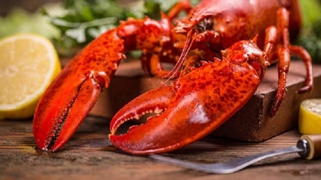 Ilustrasi lobster (iStock)
