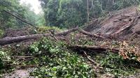 Jalan tertutup longsor di Kecamatan Kelay, Kabupaten Berau yang menyebabkan jalan trans Kalimantan lumpuh.