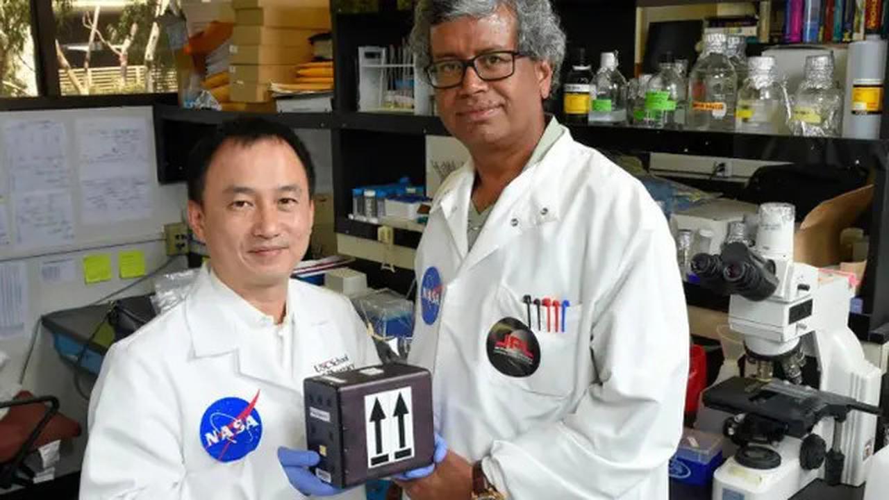 NASA dan Google Uji 'Dokter AI' untuk Obati Astronaut di Luar Angkasa, Bagaimana Cara Kerjanya?