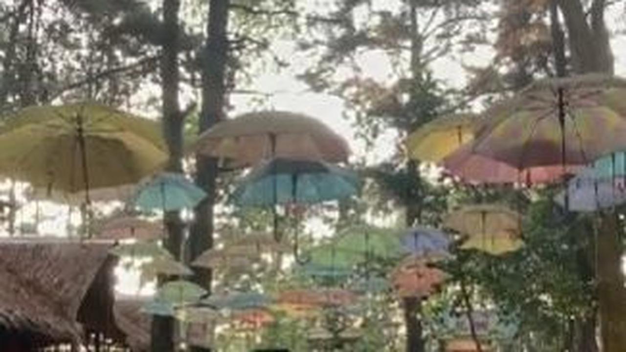 Asyiknya Berwisata ke Hutan Pinus Kudus, Punya Banyak Wahana Wisata dan Hiburan