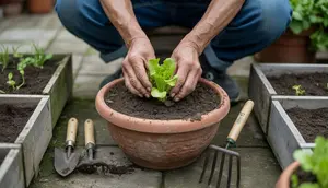 Cara Berkebun di Pekarangan Rumah untuk Pemula, Panen Sayur Segar dari Lahan Sempit
