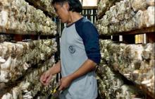FOTO: Mengenal Desa BRILIan Trawas: Giat Pelaku UMKM Terus Tumbuh Berkat Inovasi dan Kreativitas Warga