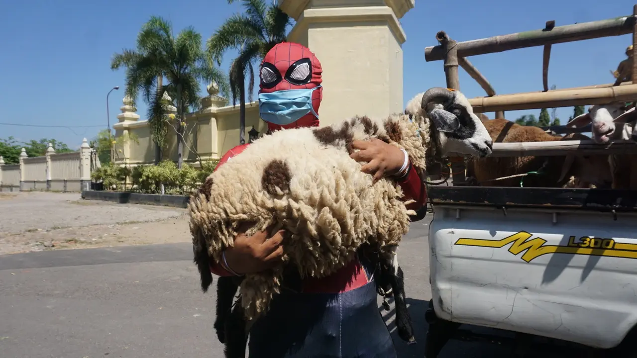 Spiderman Bagikan Hewan Kurban di Solo
