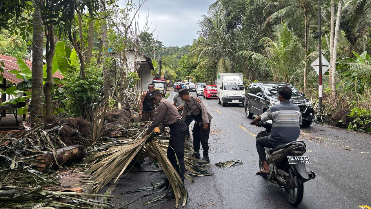 Kronologi Mobil Angkut Turis Swiss Tertimpa Pohon, Korban Luka-luka dan Patah Lutut