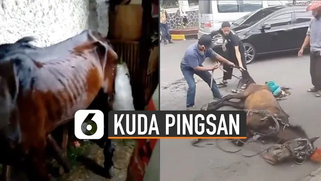 Kejadian ini mendapat sorotan pegiat binatang Jakarta Animal Aid Network (JAAN).