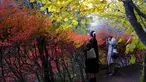 Orang-orang yang memakai masker untuk membantu mengekang penyebaran virus corona berfoto sambil berjalan di sepanjang jalan setapak saat pepohonan mulai berubah warna dedaunan musim gugur di Nagano, barat laut Tokyo, Jepang, Senin (26/10/2020). (AP Photo/Kiichiro Sato)