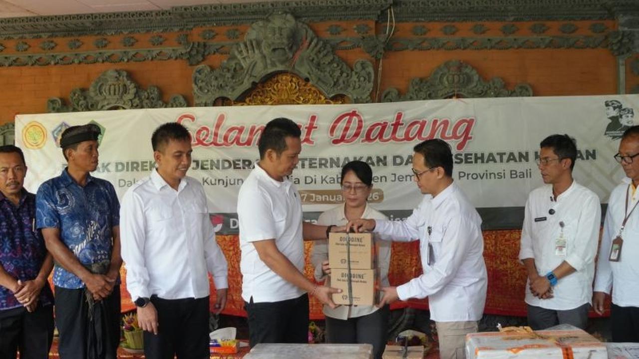 Kementan Salurkan Bantuan Obat LSD Sapi Jembrana untuk Kendalikan Penyakit Ternak
