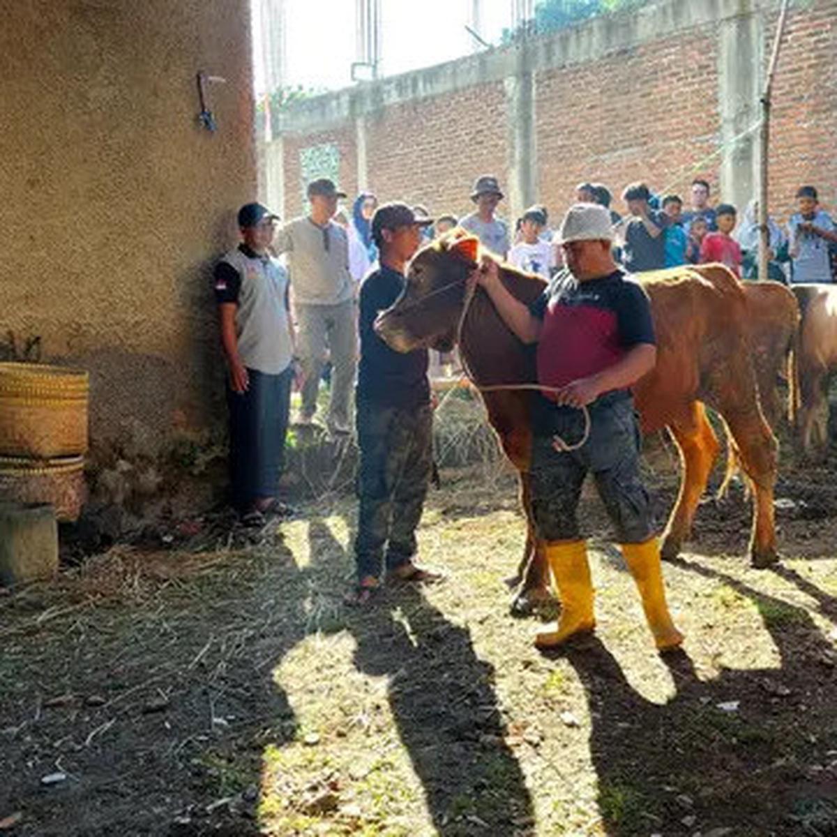 6 Cara Jaga Kadar Kolesterol di Hari Raya Idul Adha