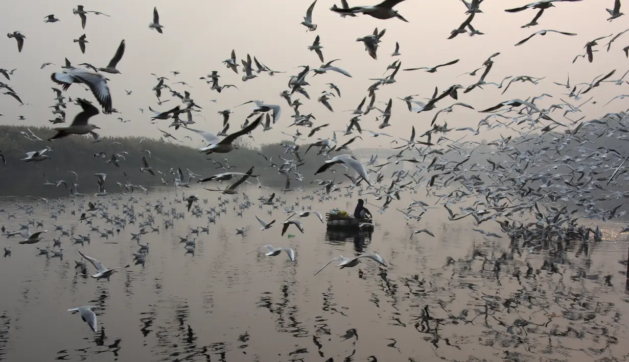 Pria India memberi makan burung camar di sungai Yamuna yang diselimuti kabut, Jumat (17/11). WHO menyebut kadar polusi udara di New Delhi dan sebagian wilayah utara India lainnya telah jauh di atas batas yang bisa di toleransi. (DOMINIQUE FAGET/AFP)