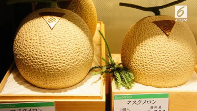 Sepasang harga melon ini umumnya dibuka dengan harga USD 5.200 atau sekitar Rp 52 Juta. Namun, beberapa melon berkualitas tinggi biasanya dilelang. 