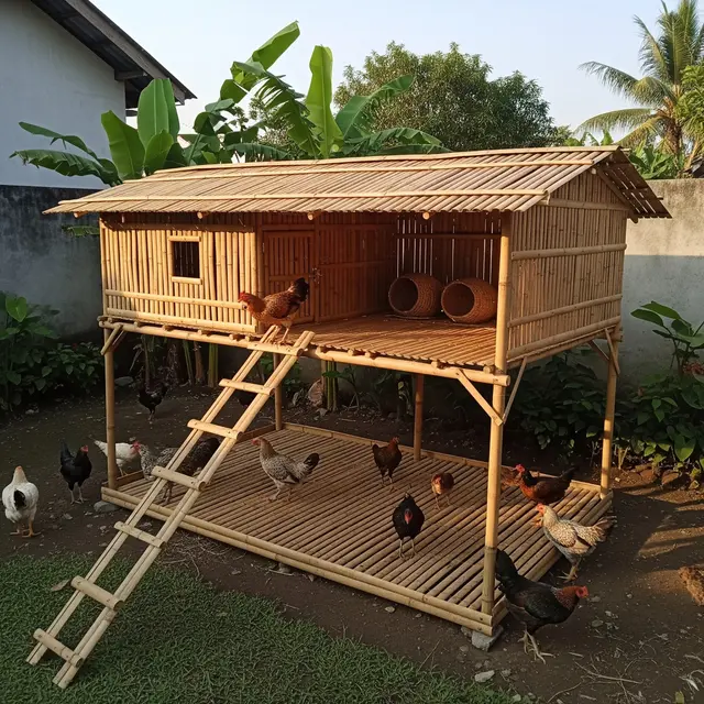 9 Model Kandang Ayam Bambu Tingkat, Efisiensi Maksimal Lahan Terbatas
