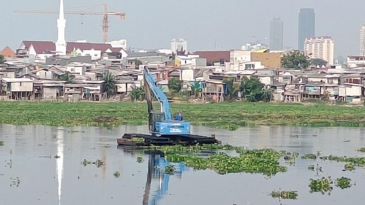 Tanaman liar itu pun nampak tumbuh subur di pinggir-pinggiran tembok. Saking suburnya, nampak tanaman mengambang di tengah-tengah waduk yang menghitam.

Tidak hanya itu, dipinggiran-pinggiran waduk juga terdapat sisa tanaman eceng gondok yang telah meng