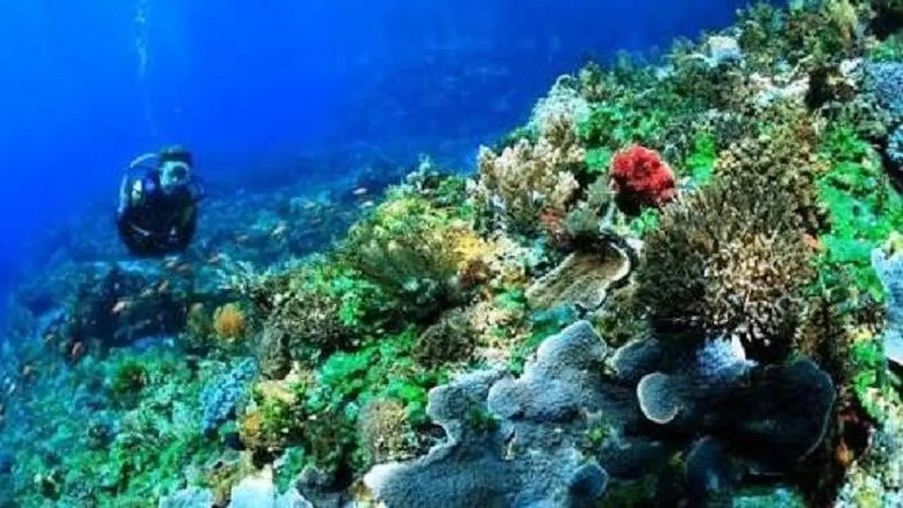 Beginilah Jurus Kemenpar Menggenjot Pariwisata NTT