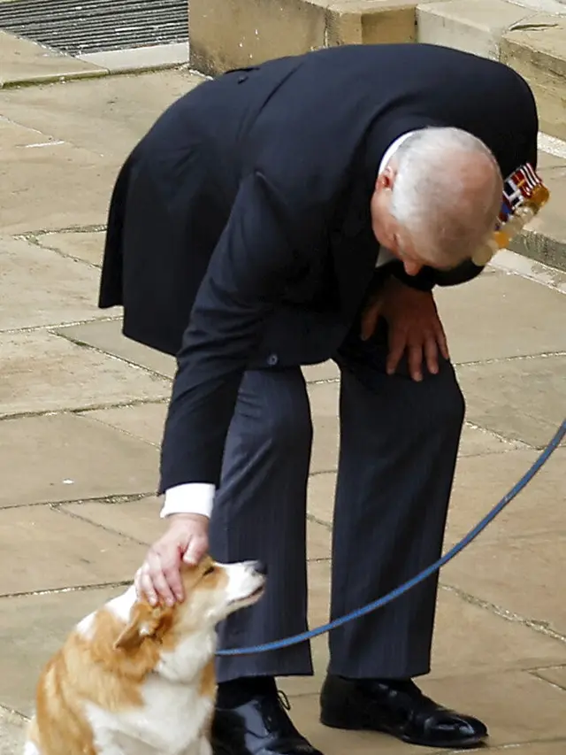 Pangeran Andrew mengelus anjing corgi milik Ratu Elizabeth II. (Foto: Peter Nicholls/Pool Photo via AP)