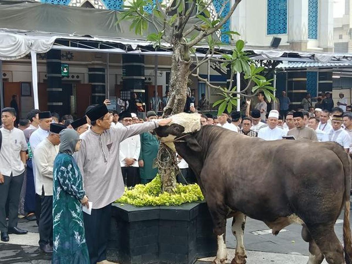 Cerita Warga Pilih Hewan Kurban Lebih Kecil saat Idul Adha 2026