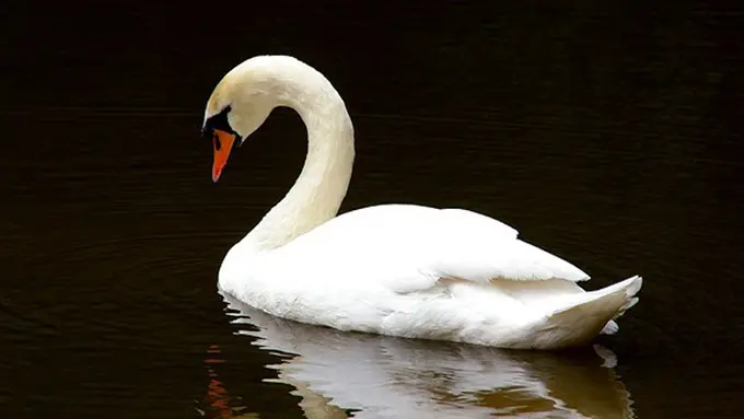 Photo: Copyright bandbplymouthmass.com