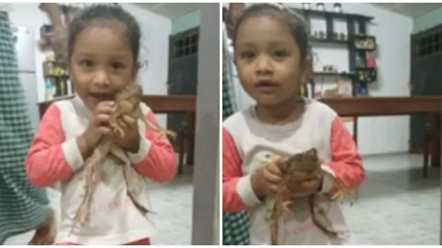 Suka Hewan Tak Biasa, Bocah Ini Hobi Pelihara Katak Sampai Dianggap Adik