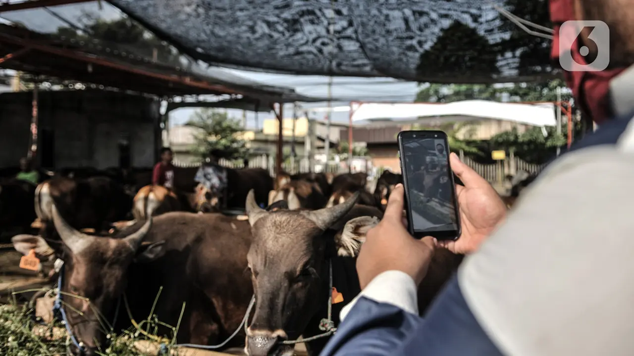 Geliat Pasar Hewan Kurban Virtual di Tengah Pandemi