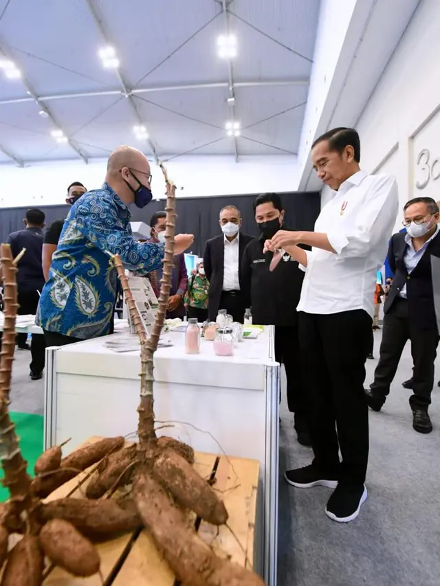 Presiden Jokowi Apresiasi Teknologi Lokal Inovasi Greenhope dalam BUMN Start Up Day (Istimewa)