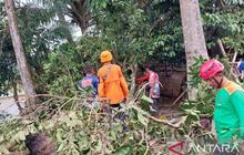 Fakta Unik: Cianjur Siaga Bencana Hidrometeorologi Selama 7 Bulan, Apa Saja yang Perlu Diwaspadai?