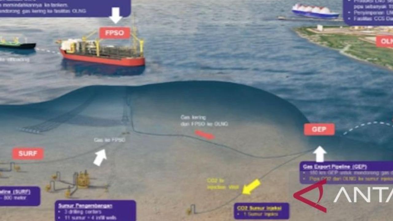 Proyek Masela dan Transisi Energi Jadi Prioritas Utama Pembahasan Indonesia-Jepang