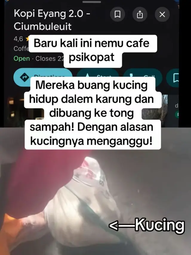 Kucing dalam karung yang dibuang ke tempat sampah