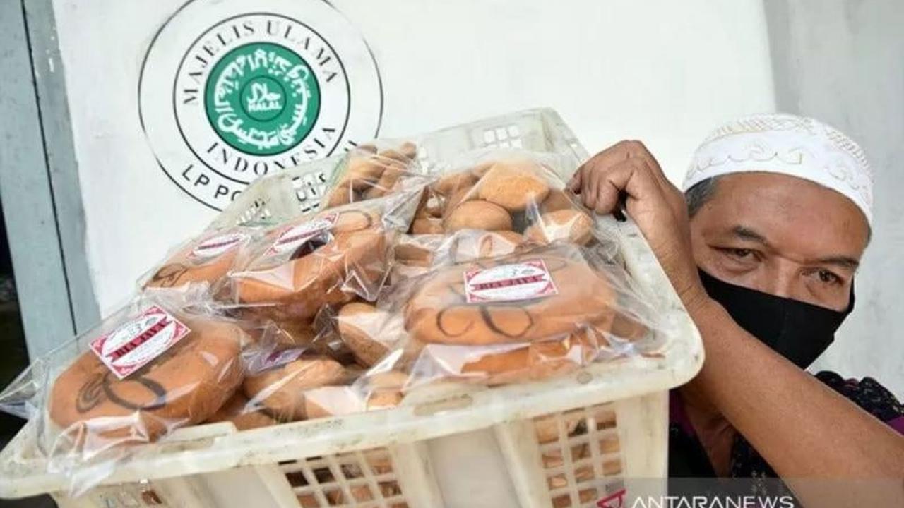 Tahukah Anda? Sertifikasi Halal Bukan Sekadar Simbol Agama, Tapi Jaminan Kualitas Global!