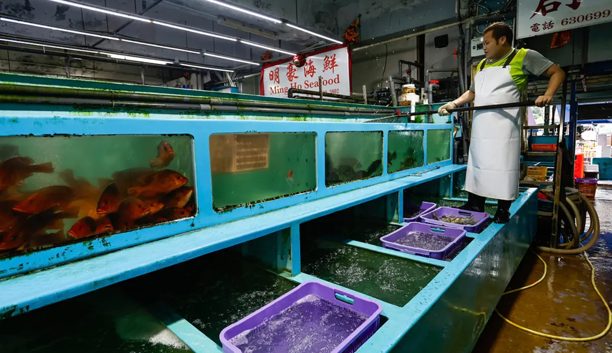 Seorang pekerja bekerja di pasar grosir yang biasa menjual makanan laut Jepang yang terkena dampak larangan impor makanan laut Jepang di Hong Kong, Kamis (24/8/2023). Pihak berwenang Hong Kong telah memberlakukan larangan impor makanan laut Jepang sebagai isyarat untuk menentang keputusan Jepang membuang air radioaktif yang telah diolah dari pembangkit listrik tenaga nuklir Fukushima yang hancur. (AP Photo/Daniel Ceng)