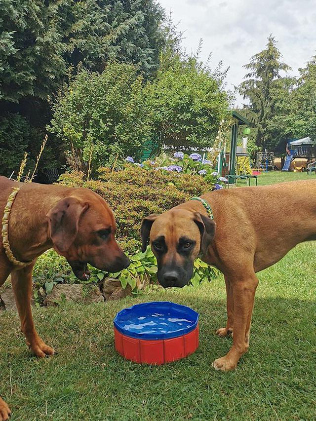 Ngenes Tapi Kocak, 6 Barang Hasil Belanja Online Ini Jauh dari Ekspektasi