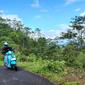 Yamaha Fazzio melibas jalur perbukitan di kawasan Kebun Teh Nglinggo. (ist)