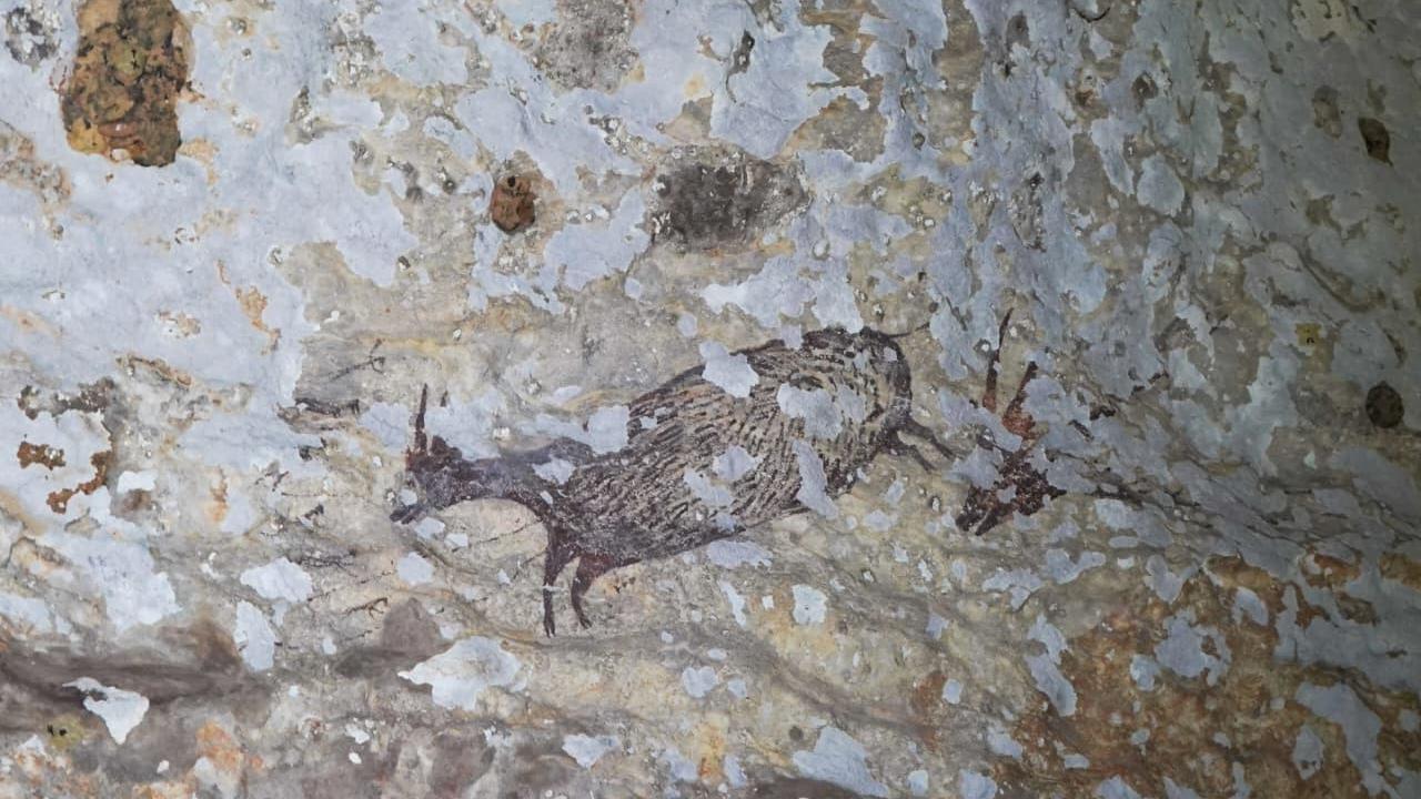 Melihat Gua Bulu Sipong 4, Seni Cadas Tertua di Dunia berusia 44.000 Tahun