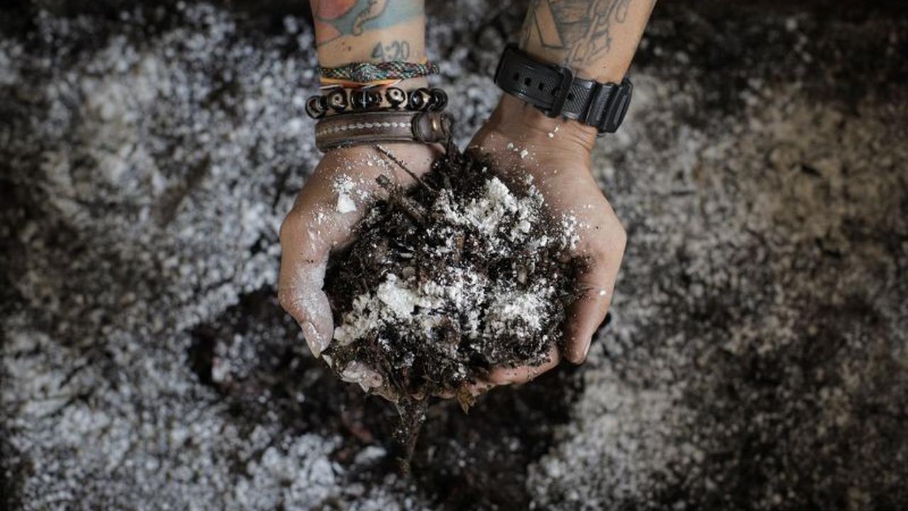 BRIN Sulap Limbah Kopi Jadi Minyak Bernilai Tinggi, Dorong Pemanfaatan Limbah Kopi Berkelanjutan
