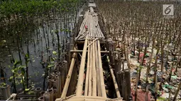 Kondisi papan jalan setapak dan hutan mangrove di kawasan Muara Angke, Jakarta Utara, Sabtu (14/4). Sampah yang mayoritas bersumber dari limbah domestik rumah tangga itu berdampak buruk bagi ekosistem di lingkungan sekitar. (Liputan6.com/Johan Tallo)