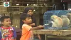 Selain anak monyet, di lokasi ini banyak juga dijual beraneka ragam jenis burung.