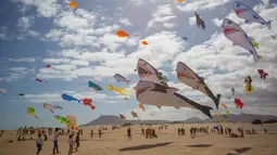 Layang-layang berbentuk hiu terbang selama Festival Layang-layang Internasional di Fuerteventura, kepulauan Canary, Spanyol, 10 November 2018. Festival diikuti 45 penerbang layang-layang profesional dan amatir dari delapan negara. (DESIREE MARTIN/AFP)