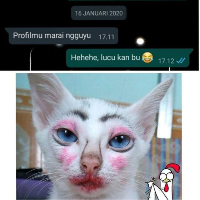 chat dosen