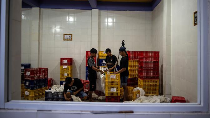Pekerja memasukkan ular hidup dalam peti di salah satu perusahaan eksportir ular di Surabaya, 13 Februari 2019. Ular-ular tersebut diekspor secara legal untuk memenuhi kebutuhan menu masakan di Guangzhou, China. (Juni Kriswanto/AFP)