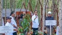 Menteri Lingkungan Hidup dan Kehutanan Siti Nurbaya mendampingi Presiden RI Joko Widodo melaksanakan penanaman pohon bersama masyarakat di sejumlah titik di Ibu Kota Nusantara (IKN), Kabupaten Penajam Paser Utara, Provinsi Kalimantan Timur, Rabu (20/12) (Istimewa)