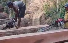Viral! Rekaman Ilegal Logging di Lampung Bikin Warga Ketakutan
