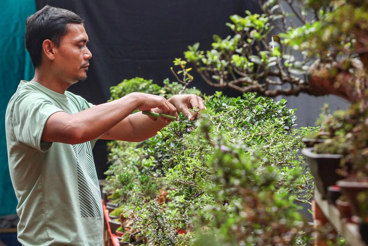 FOTO: Warna-Warni Flona 2025 di Lapangan Banteng Jakarta
