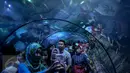 Pengunjung mengamati ikan di dalam akuarium di SeaWorld Ancol, Jakarta, Minggu (25/12). Seaworld menjadi tempat favorit pengunjung dalam liburan dikarenakan mereka bisa sambil belajar untuk putra-putrinya mengenal biota laut. (Liputan6.com/Faizal Fanani)