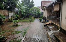 7 Tanda Drainase Halaman Rumah Tidak Mampu Menampung Air Hujan yang Perlu Diwaspadai