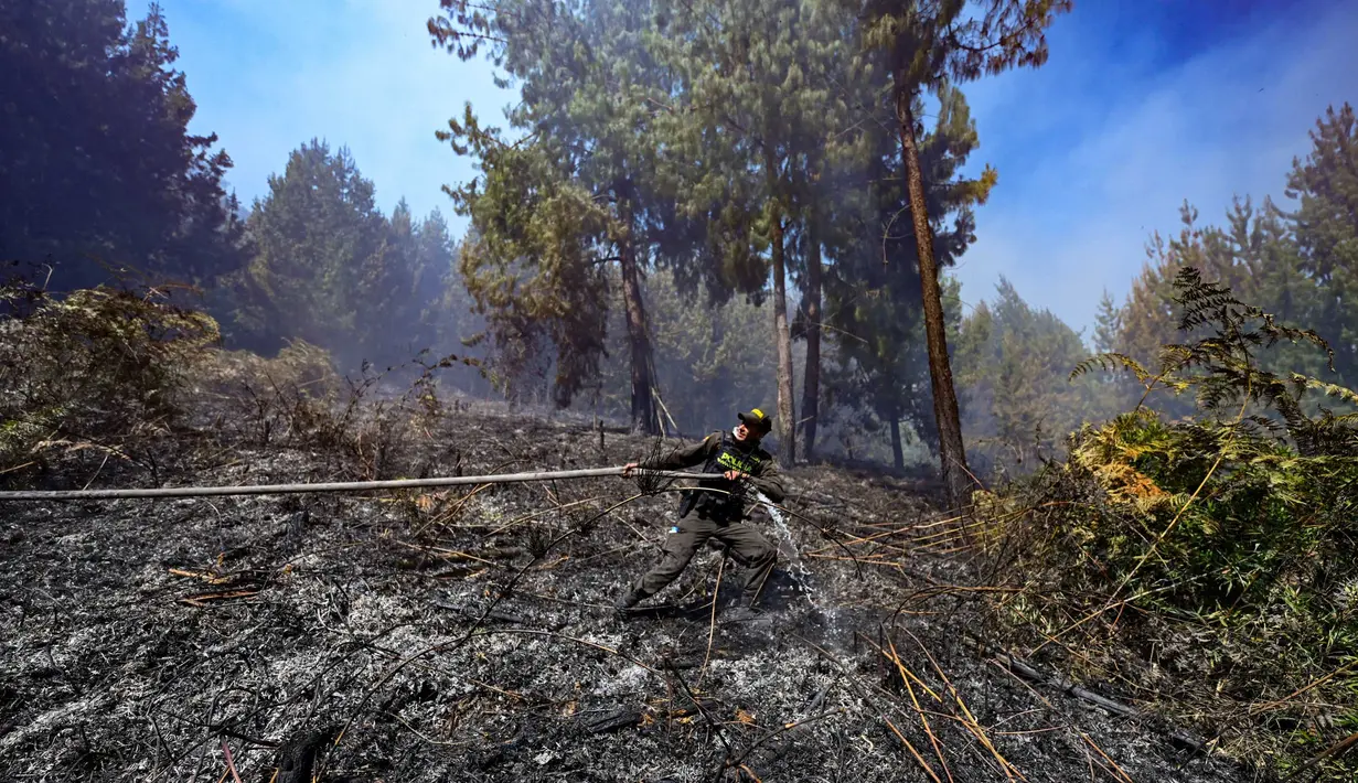 Sekitar dua puluh kebakaran hutan membuat Bogota dan beberapa wilayah Kolombia dalam keadaan siaga. (Luis ACOSTA/AFP)