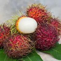 Dapatkan beragam manfaat dengan mengonsumsi buah rambutan. Tidak hanya buahnya, biji dan kulitnya pun bisa dimanfaatkan, lho!