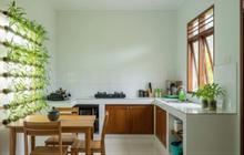 8 Inspirasi Dapur Minimalis Bentuk L dengan Tanaman Sayur di Botol