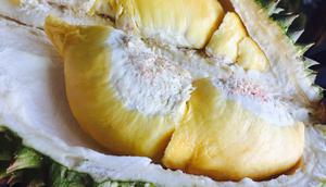 Ilustrasi Durian/https://unsplash.com/Gliezl&nbsp;Bancal