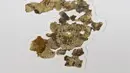 Otoritas Kepurbakalaan Israel menampilkan fragmen Gulungan Laut Mati baru di laboratorium konservasi Dead Sea Scroll di Yerusalem, Selasa (16/3/2021). Itu adalah gulungan baru pertama yang ditemukan dalam penggalian arkeologi di gurun selatan Yerusalem dalam 60 tahun. (AP/Sebastian Scheiner)