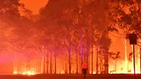 Kebakaran Hutan Australia Picu Zona Bebas Turis dan Eksodus Massal